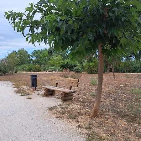 Studio Proche De Perpignan Peyrestortes 外观 照片