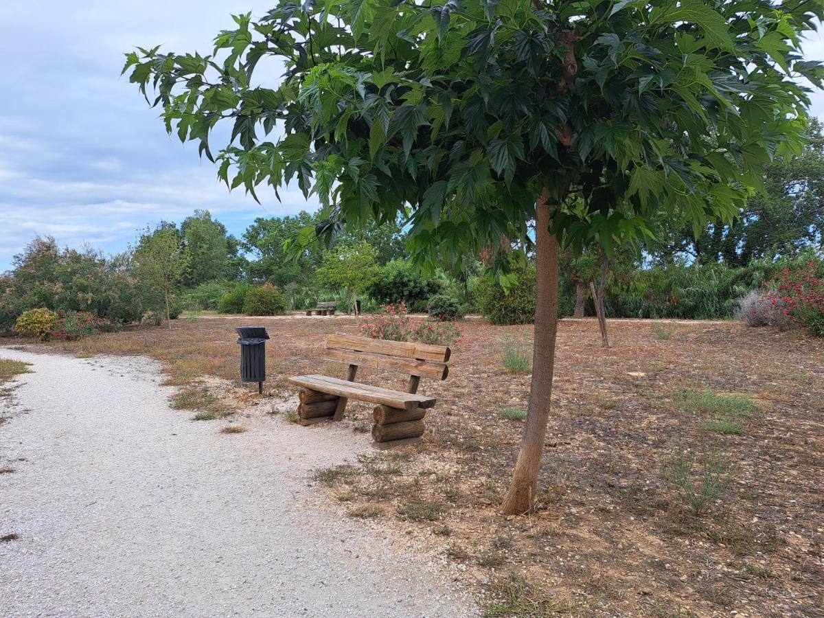 Studio Proche De Perpignan Peyrestortes 外观 照片